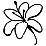NIACINAMIDE